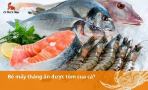 Bé mấy tháng ăn được tôm cua ca? Những điều cần lưu ý khi cho bé ăn hải sản