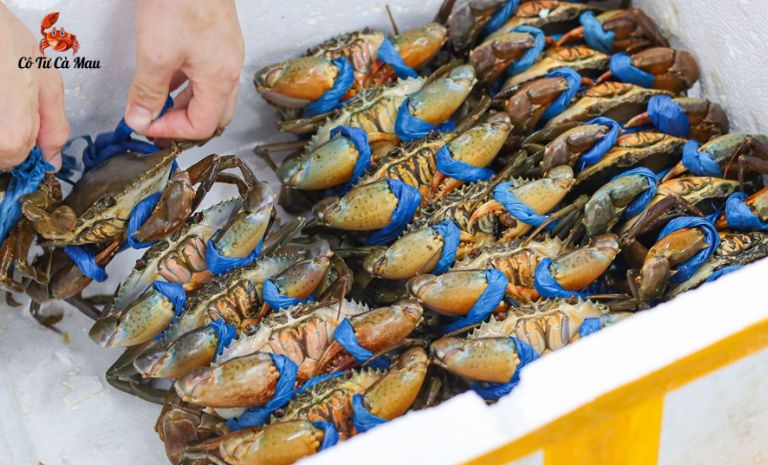 Cua được đặt ngay ngắn trong thùng xốp kèm đá khô khi vận chuyển đi xa