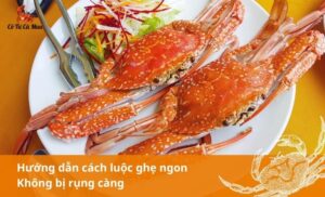 Cách luộc nhẹ ngon, ngọt thịt và vẫn giữ được càng nguyên vẹn