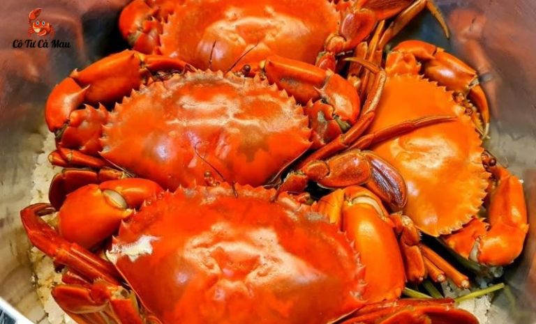 Ăn cua chín để tránh bị nhiễm vi khuẩn có thể khí sinh trong cua