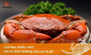 Cua bao nhiêu Calo? Tìm hiểu những giá trị dinh dưỡng có trong thịt cua