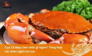 Cua Cà Mau làm món gì ngon? Top 16 món ăn chế biến từ cua mà bạn không nên bỏ lỡ
