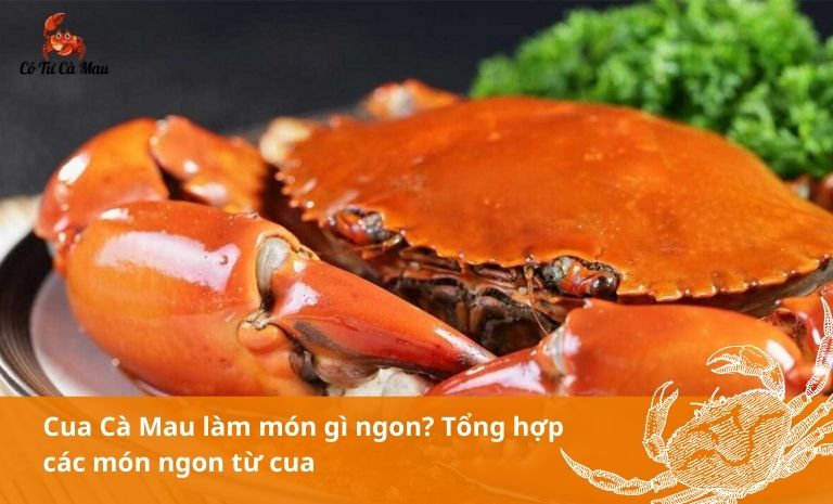 Cua Cà Mau làm món gì ngon? Top 16 món ăn chế biến từ cua mà bạn không nên bỏ lỡ