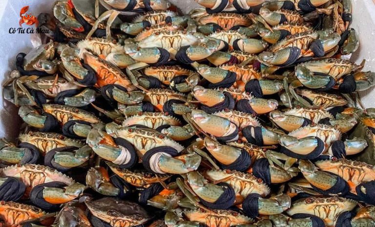 Mua cua uy tín, chất lượng và giá tốt nhất tại Cô Tư Cà Mau