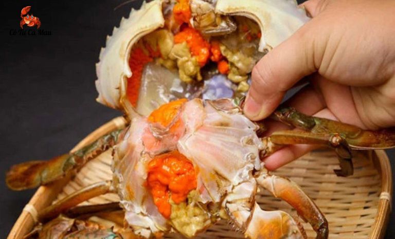 Gạch cua đỏ chủ yếu được tìm thấy ở cua cái