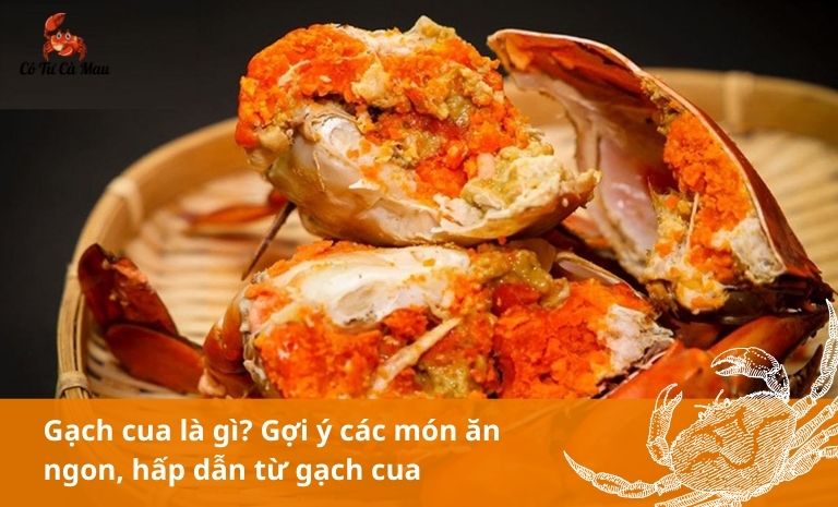 Gạch cua là gì