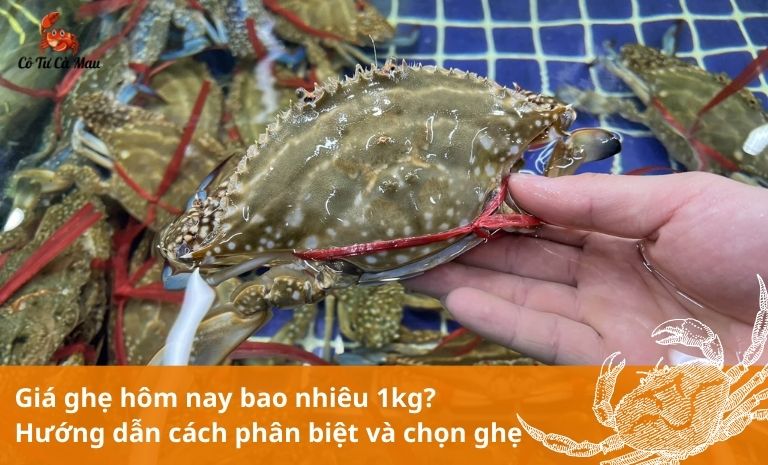 Giá ghẹ hơm nay bao nhiêu tiền một kg? Xem bảng giá chi tiết tại Cô Tư Cà Mau