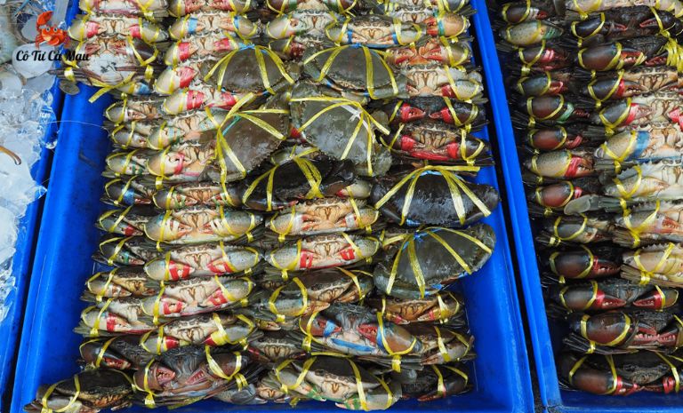 Nhiều loại hải sản tươi sống được cung cấp tại Cô Tư Cà Mau