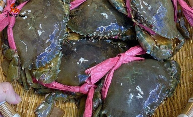 Máu cua không có màu đỏ là do có chứa hemocyanin, loại protein chứa đồng
